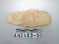 藏品(磨製片狀石矛殘件)的圖片